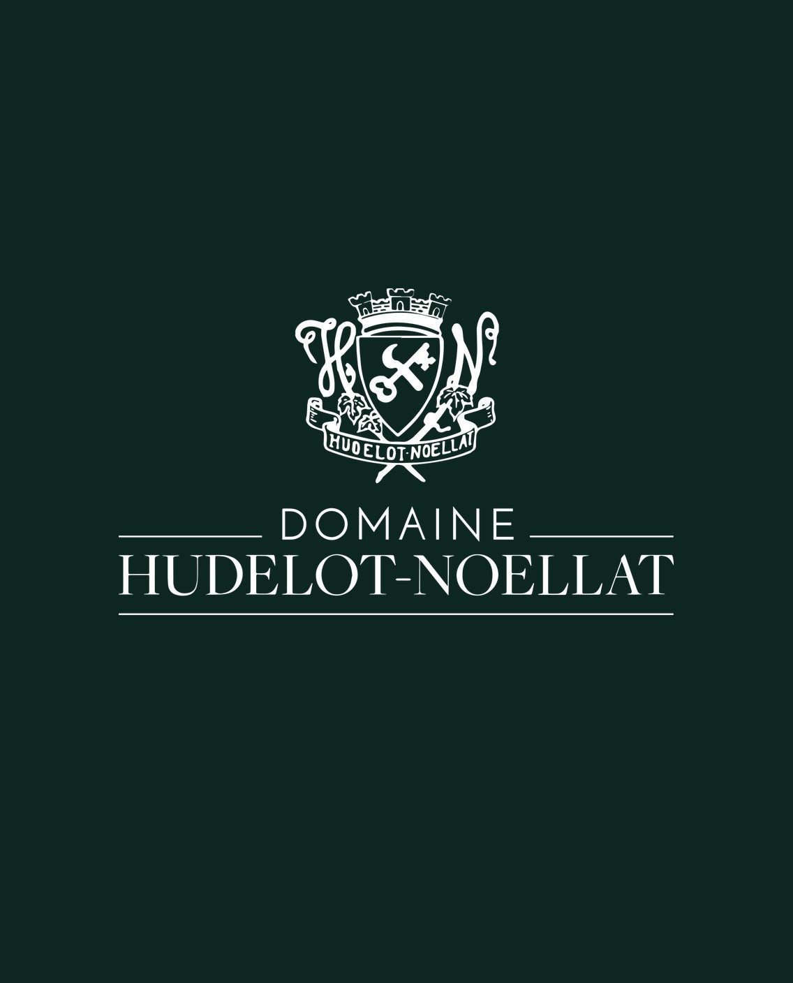 Alain Hudelot-Noellat logo. Image for illustration only.